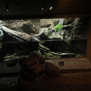 Hellbender Enclosure