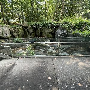 North American River Otter Enclosure