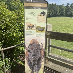 American Bison Signage