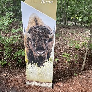 Bison Signage