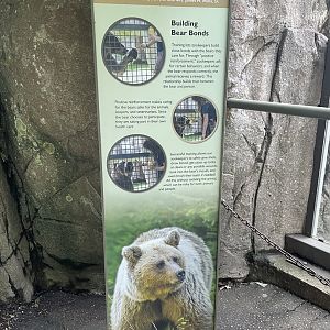 Grizzly Bear Signage
