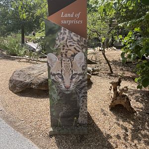 Desert Entrance Signage