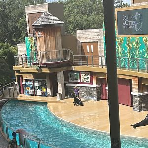 Jun. 2023- California sea lions and Pacific walrus