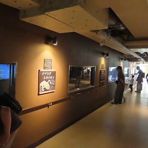 Corridor in the hippo house