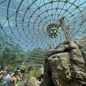 Inside Desert Dome