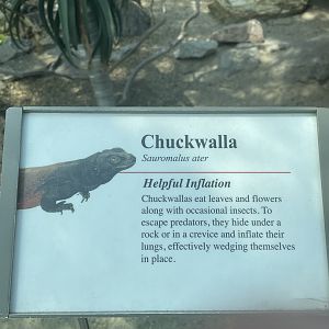 Chuckwalla Signage