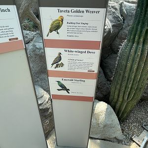 Signage For Free Flying Birds