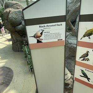 Signage For Free Flying Birds