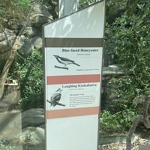 Blue-faced Honeyeater (No Show) and Kookaburra Signage