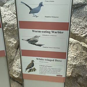 More Signage for Free Flying Birds