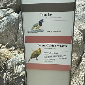 More Signage For Free Flying Birds