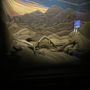 Sidewinder Enclosure