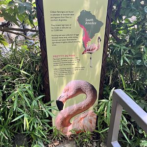 Flamingo Signage