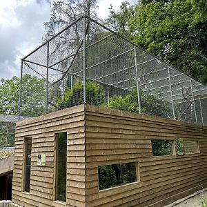 New squirrel monkey enclosure