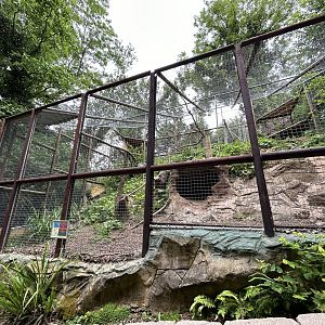 Turkey vulture enclosure