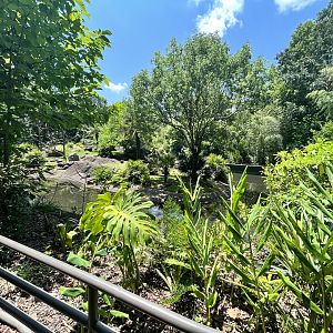 Red-stuffed Lemur Enclosure (No Show)