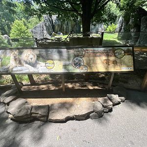 African Lion Signage