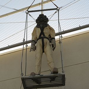 Diving Suit