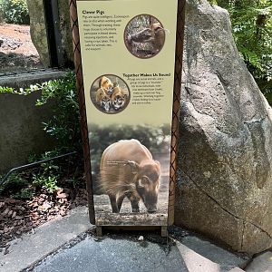 Red River Hog Signage