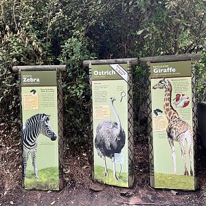 Forest Edge Animals and Signs