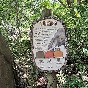 Tusk Signage