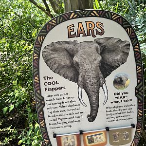 Ears Signage