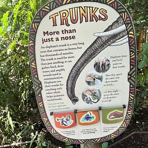 Trunks Signage