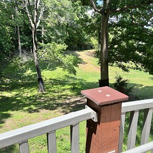 Watson Grasslands Reserve Viewing