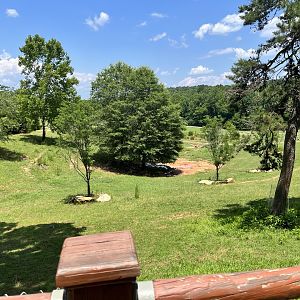 Watusi Grasslands Reserve Viewing