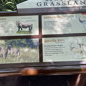 Watusi Grasslands Reserve Signage (All Animals out of Camera View)