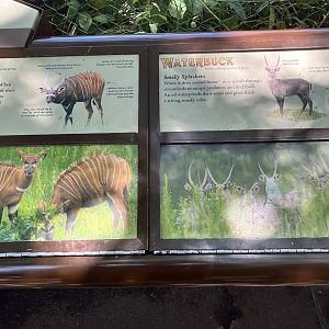 Watusi Grasslands Reserve Signage (All Animals out of Camera View)