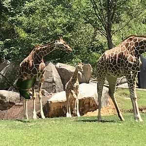 Fenn’s first day on Habitat