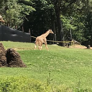 Fenn’s First Day on Habitat