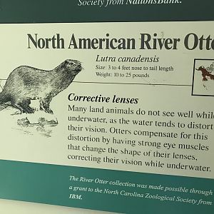 North American River Otter Sign