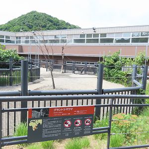 Grant's zebra exhibit