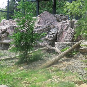 Snow leopard exhibit
