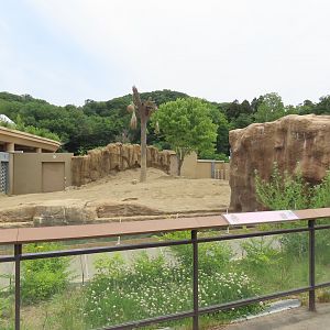 Asian elephant exhibit