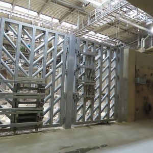 Asian elephant exhibit