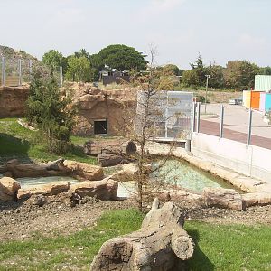 Polar bears exhibit - 2010