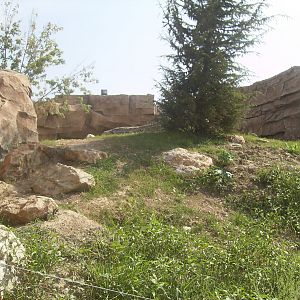Polar bears exhibit - 2010