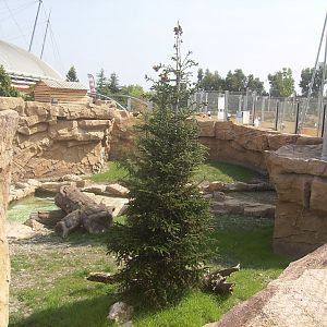 Polar bears exhibit - 2010