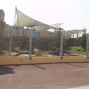 Polar bears exhibit - 2010