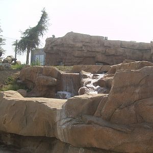 Polar bears exhibit - 2010