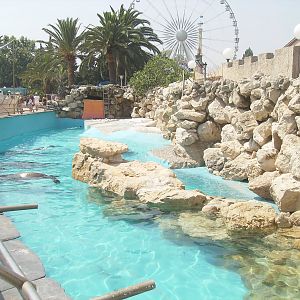 South American sea lions exhibit - 2010