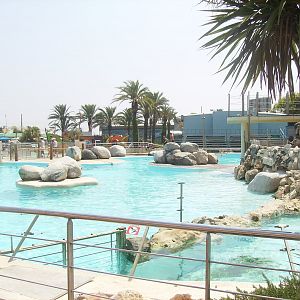 Steller sea lion exhibit - 2010