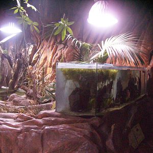 Aquarium - 2010