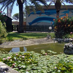 Flamingo exhibit - 2010
