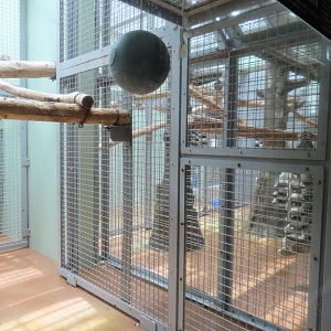 Indoor monkey exhibit