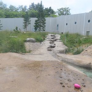 Polar bear exhibit