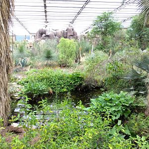 Green oase in the desert